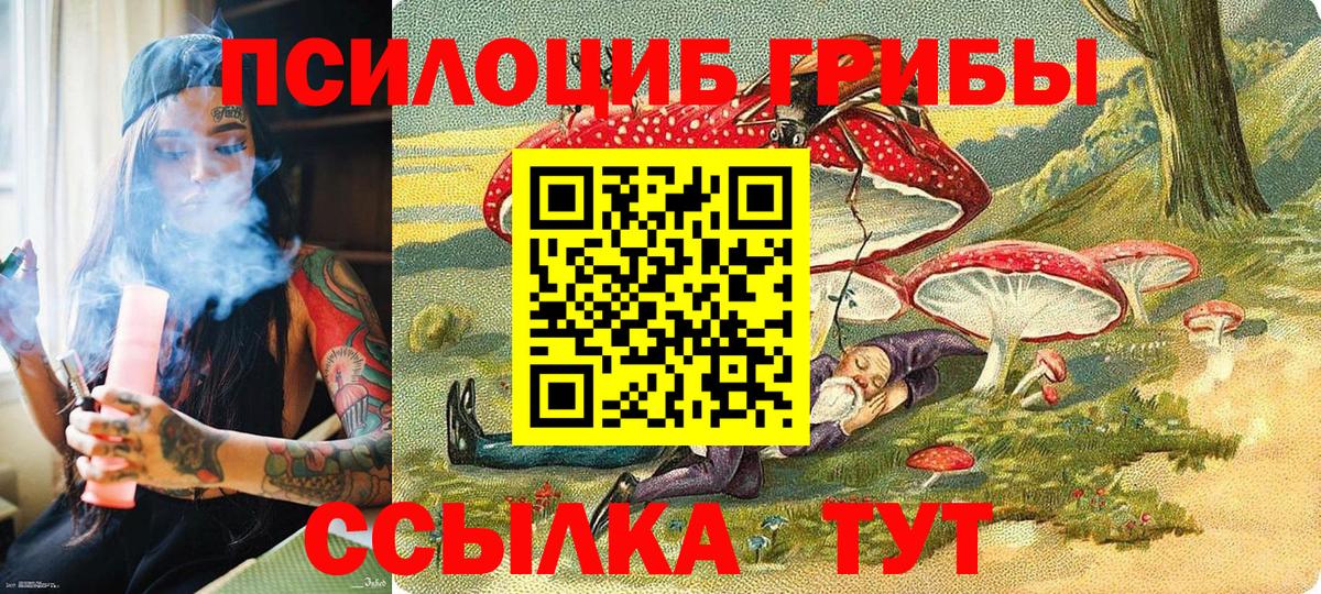 Галлюциногенные грибы мухоморы  Вход с VPN  Михайловск 